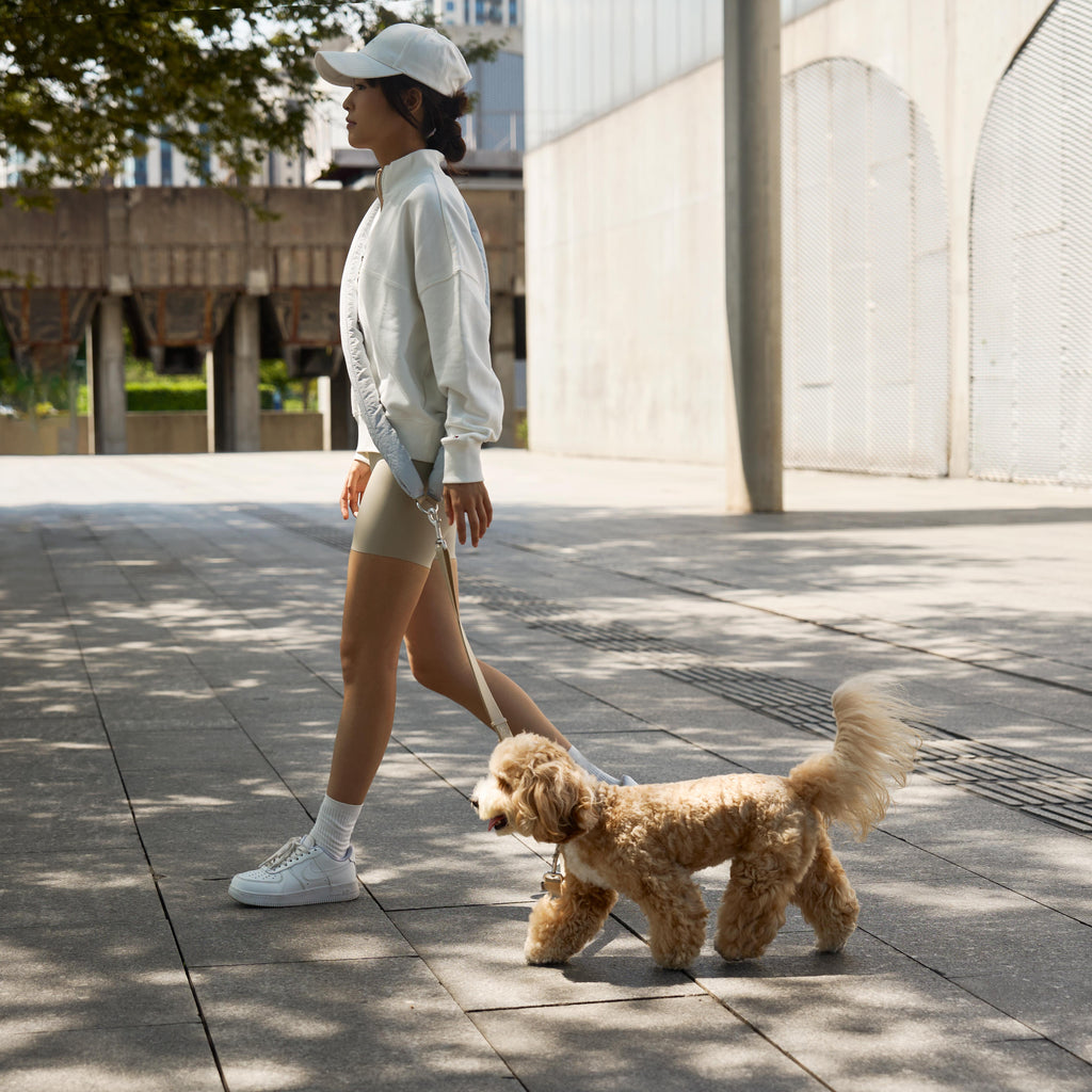 Premium Hands-Free Cloud Leash